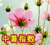 中暑指数落区图