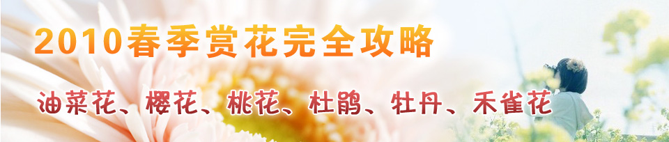 与春相约2010赏花完全功略