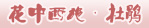 花中西施·杜鹃