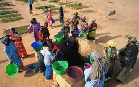 阻止荒漠化全球化背景下的一场战争