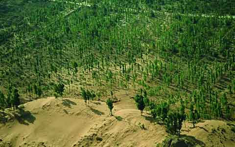 三北防护林在中国北方筑起生态屏障