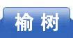 榆树