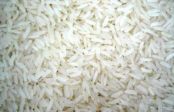 源口香米 - 旅游气象