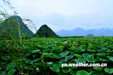 云南普者黑风景图片欣赏(五)