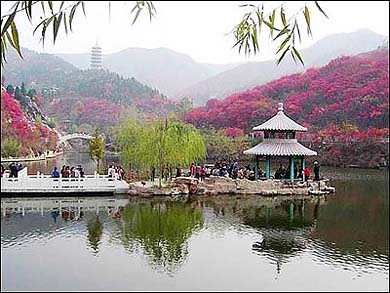 红叶谷生态文化旅游区