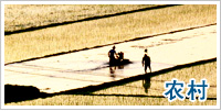 农村