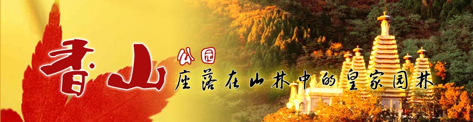 彩色风暴来袭2009红叶最佳观赏期